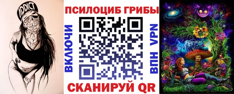 где найти   Вилюйск  Галлюциногенные грибы MAGIC MUSHROOMS 